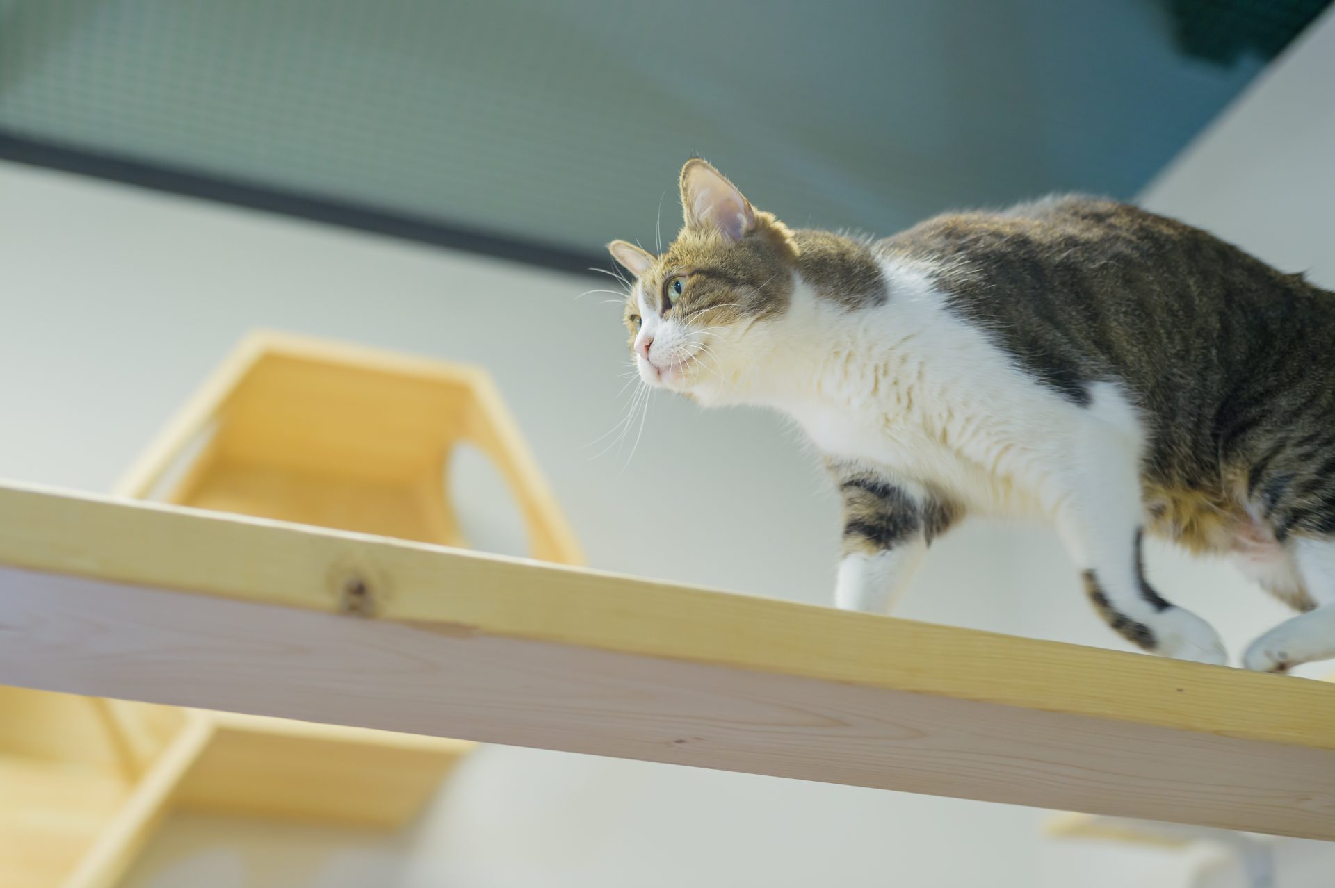 活動内容のご紹介