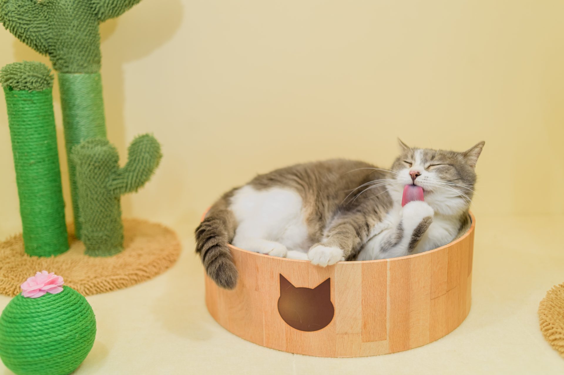 財団の理念と目指すもの