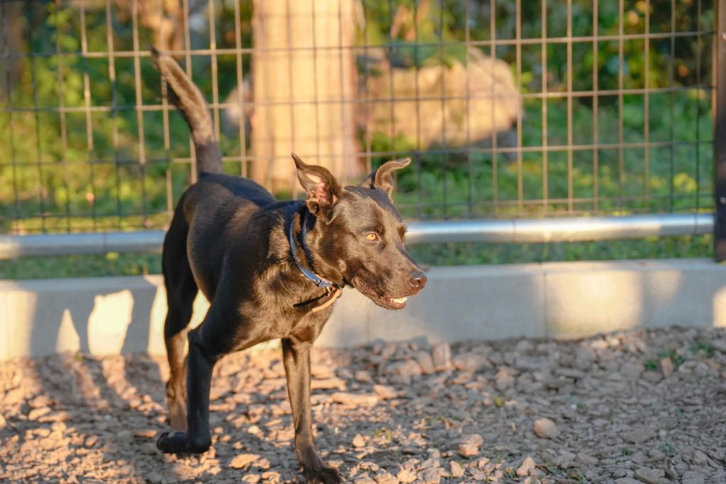 寄付支援のお願い