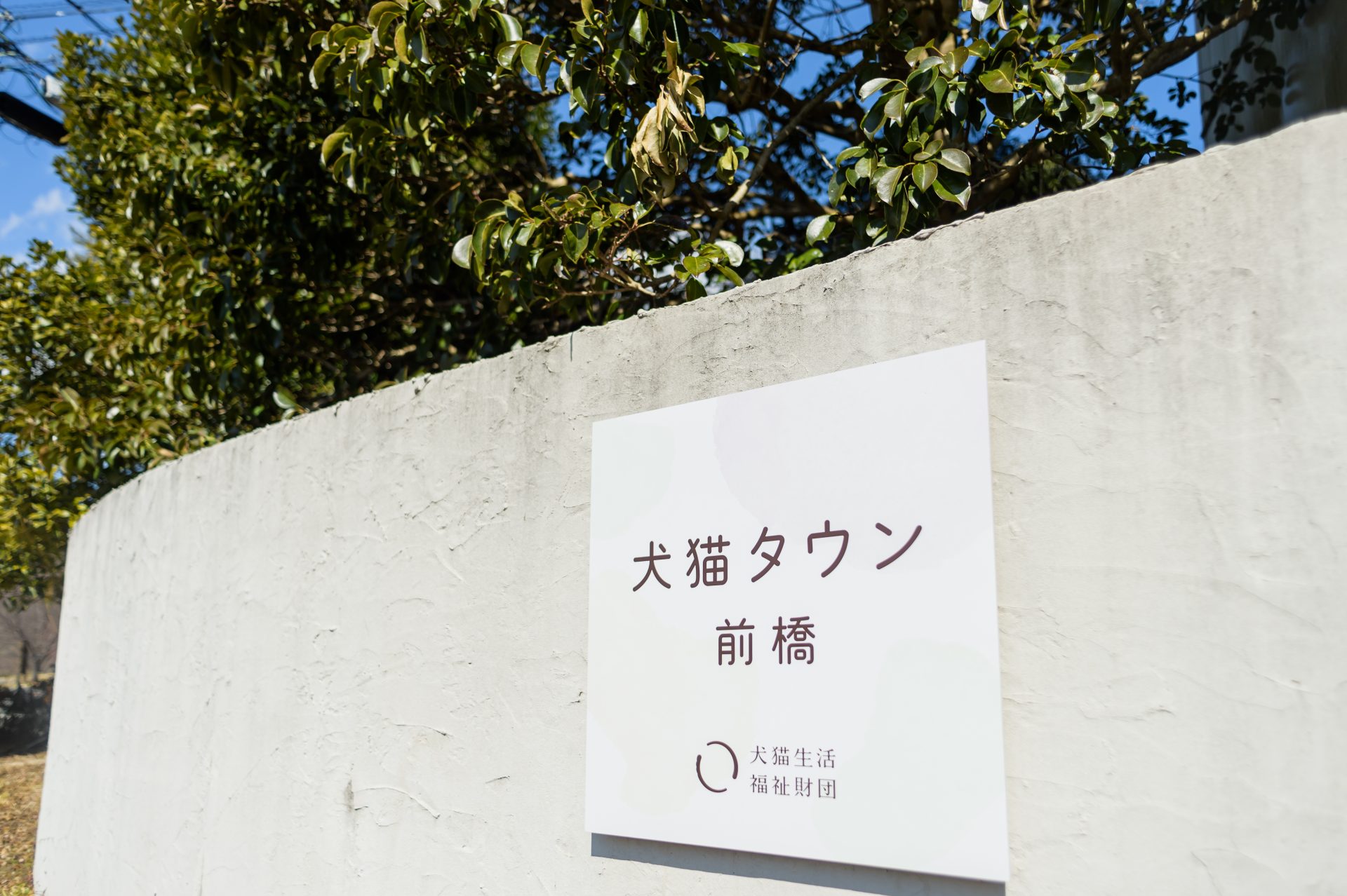 犬猫タウン前橋