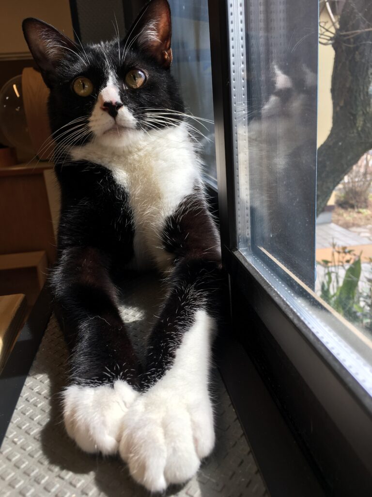 adoptions-sliderの7枚目