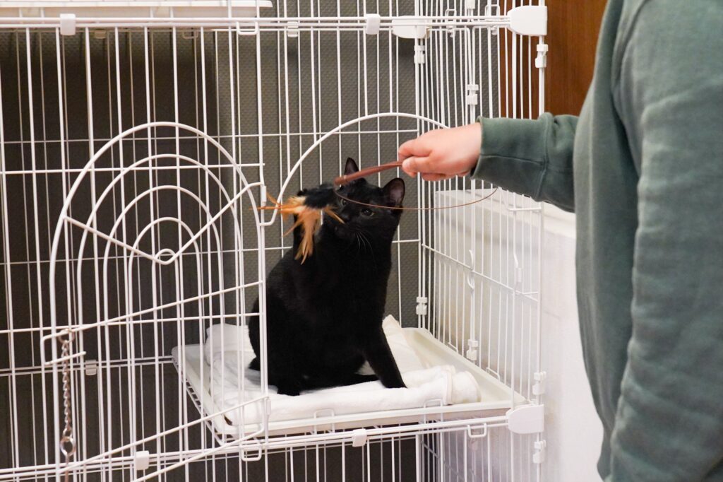 adoptions-sliderの7枚目