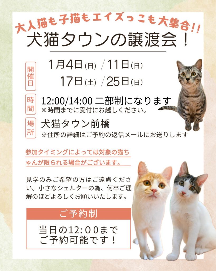2026年1月の「譲渡会」の日程が決まりました【犬猫タウン前橋】 - 一般 