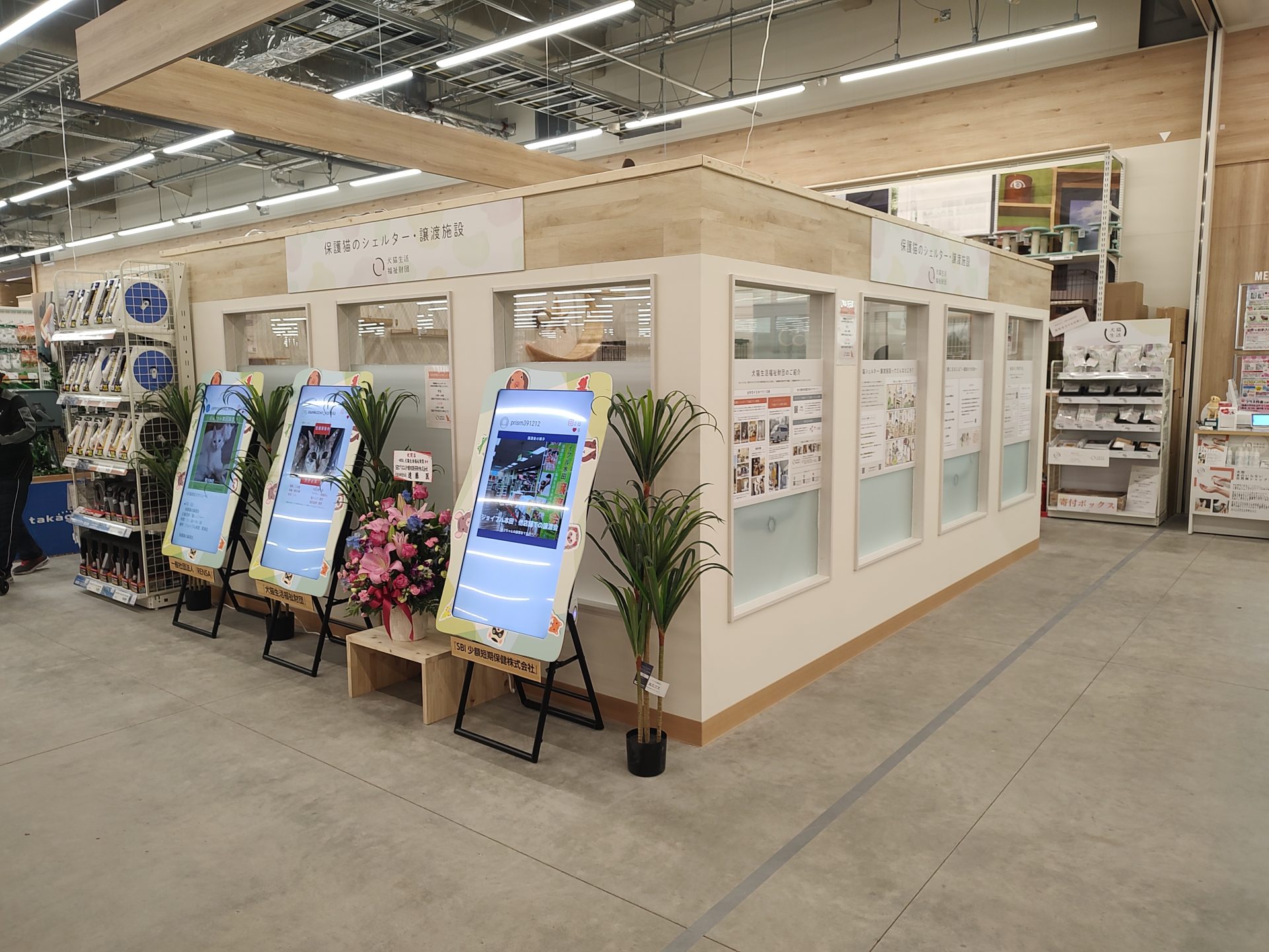 犬猫タウン吉岡にゃんこシェルター