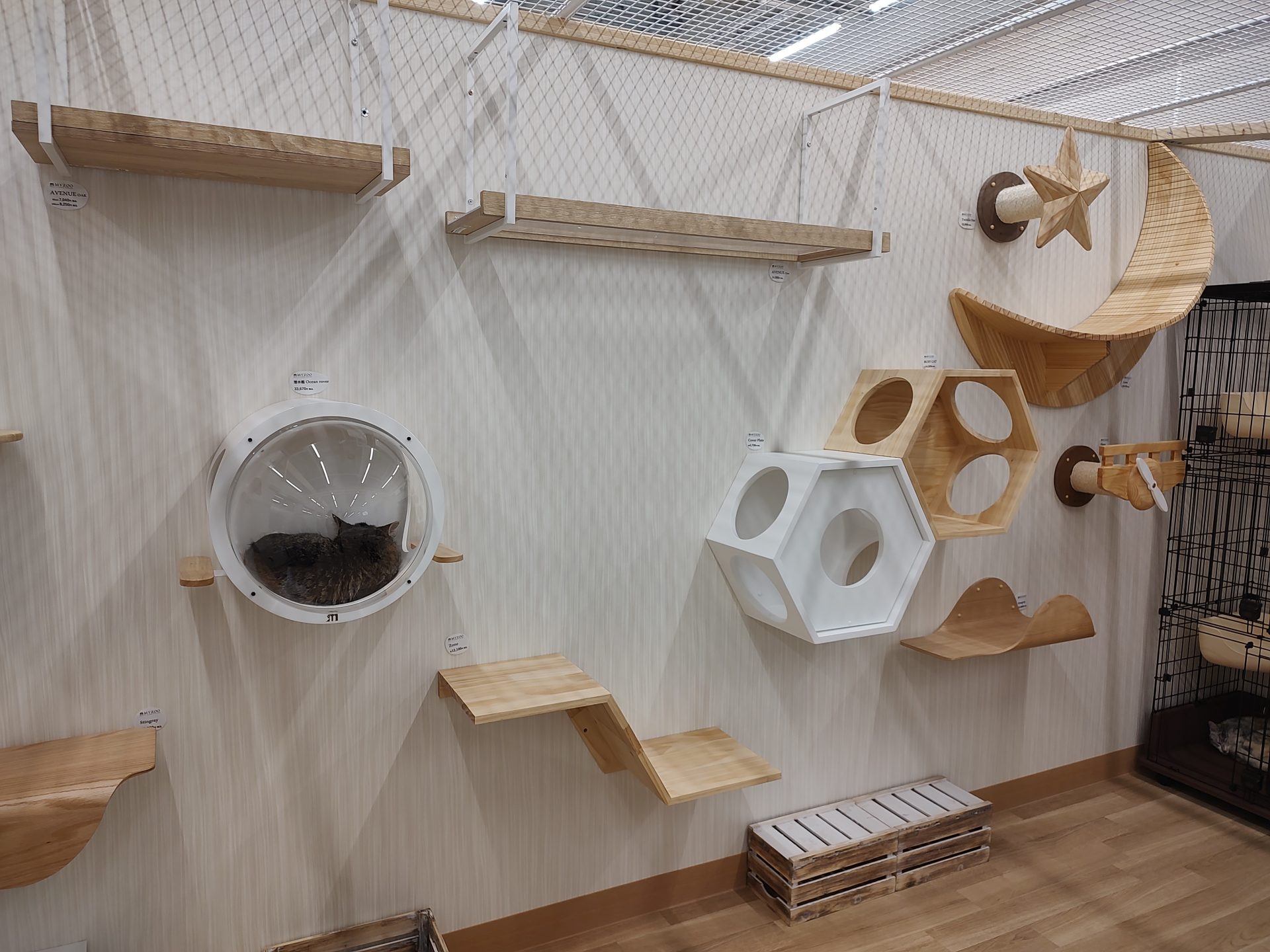 ジョイホンパーク吉岡店 施設内の様子