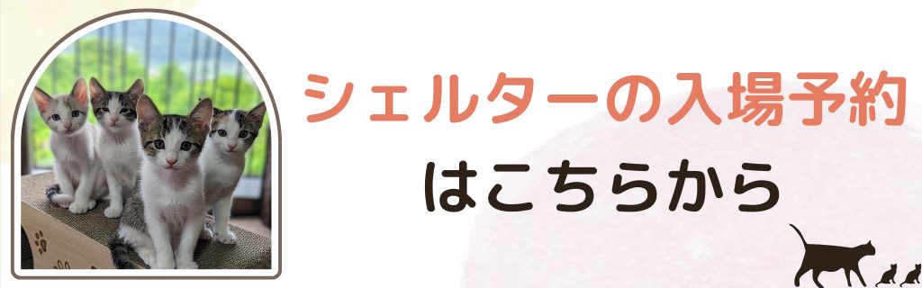 見学予約はこちら