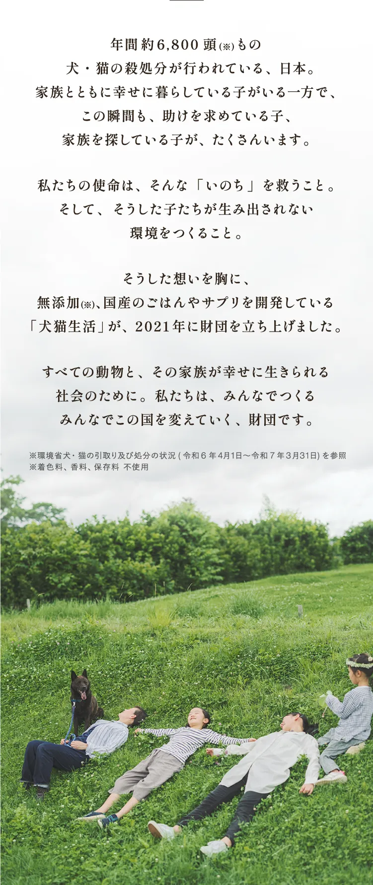年間約6,800頭の犬猫が殺処分されている現状を伝え、命を救い、そうした命が生まれない社会を目指す財団の理念と活動の紹介。緑の草原で人と犬が穏やかに過ごす写真が添えられている