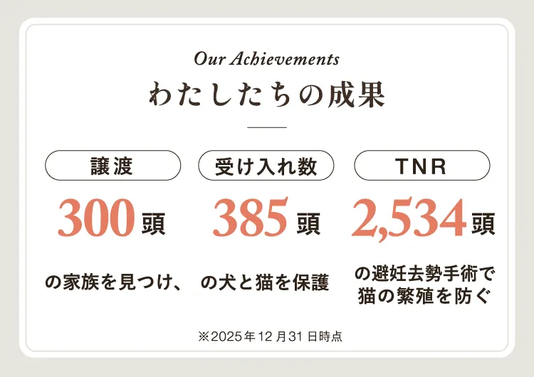 Our Achievements。わたしたちの成果。譲渡300頭。受け入れ数385頭。TNR2534頭。2025年12月31日時点