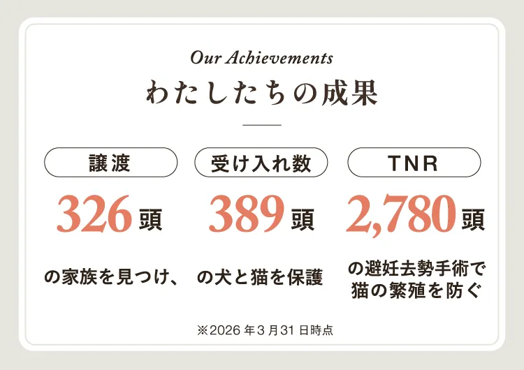 Our Achievements。わたしたちの成果。譲渡326頭。受け入れ数389頭。TNR2780頭。2026年3月31日時点