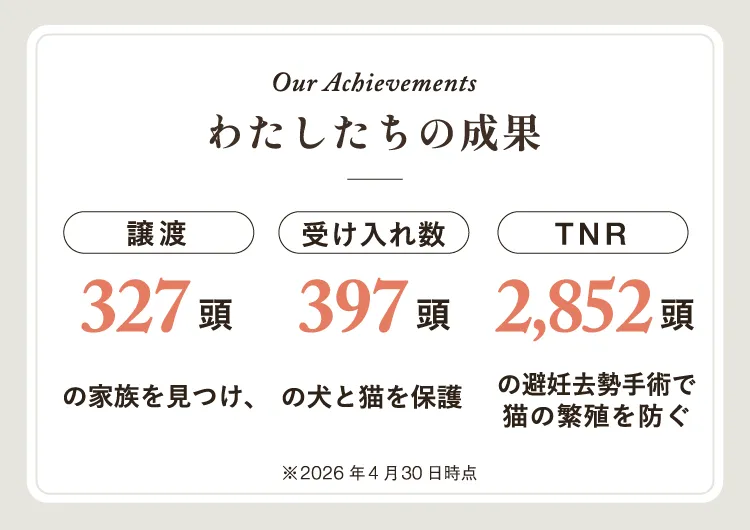 Our Achievements。わたしたちの成果。譲渡327頭。受け入れ数397頭。TNR2852頭。2026年4月30日時点