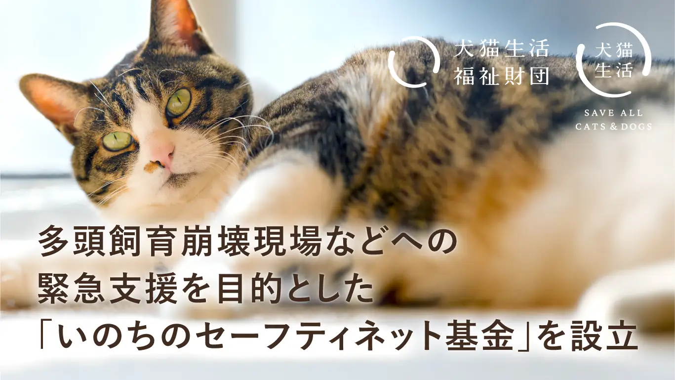 多頭飼育崩壊レスキュー支援について