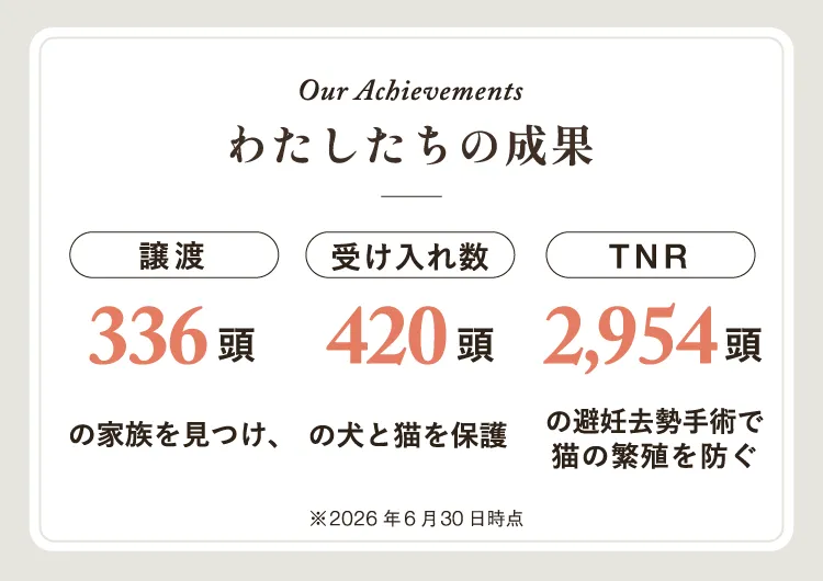 Our Achievements。わたしたちの成果。譲渡336頭。受け入れ数420頭。TNR2954頭。2026年6月30日時点