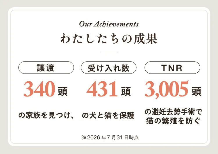 Our Achievements。わたしたちの成果。譲渡340頭。受け入れ数431頭。TNR3005頭。2026年7月31日時点