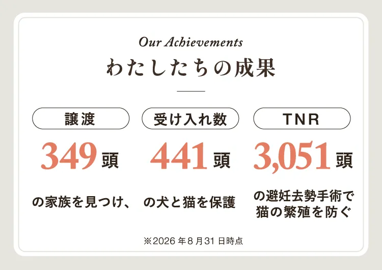 Our Achievements。わたしたちの成果。譲渡349頭。受け入れ数441頭。TNR3,051頭。2026年8月31日時点