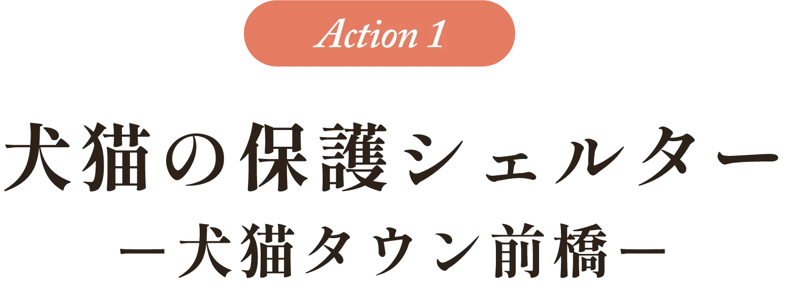 Action1：犬猫の保護シェルター「犬猫タウン前橋」