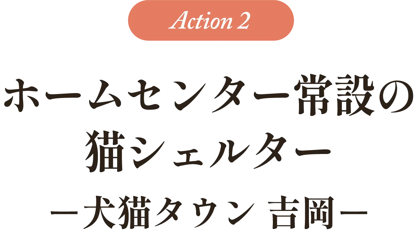 Action2：ホームセンター常設の猫シェルター「犬猫タウン 吉岡」