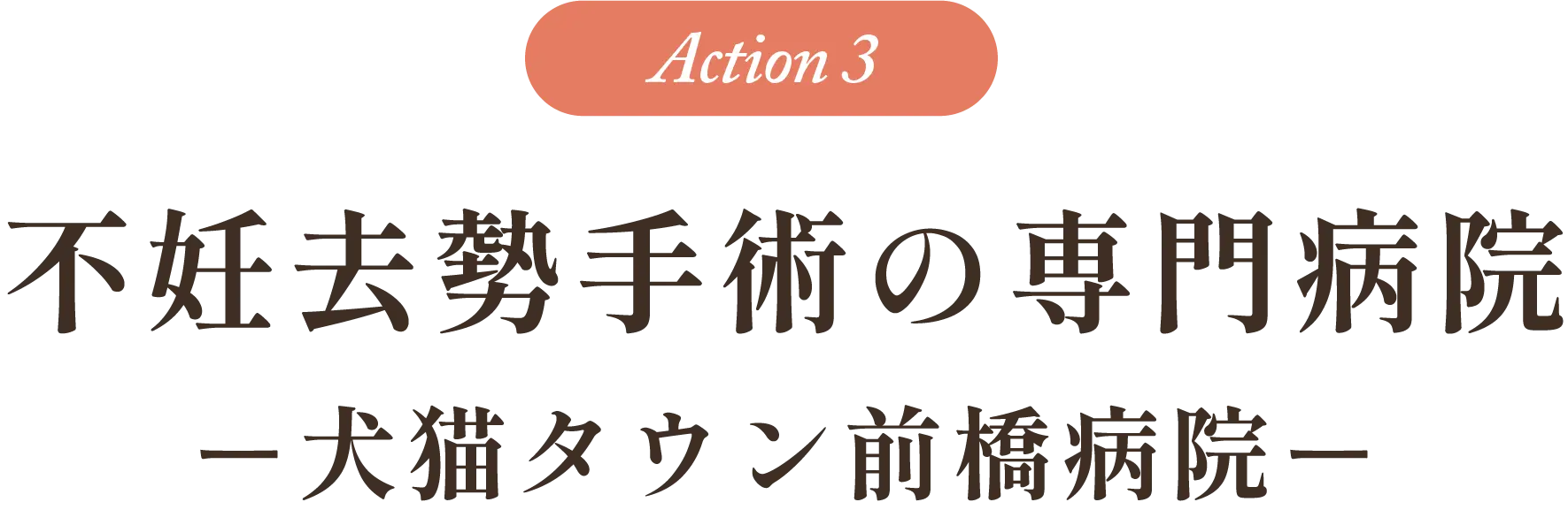 Action3：不妊去勢手術の専門病院「犬猫タウン前橋病院」