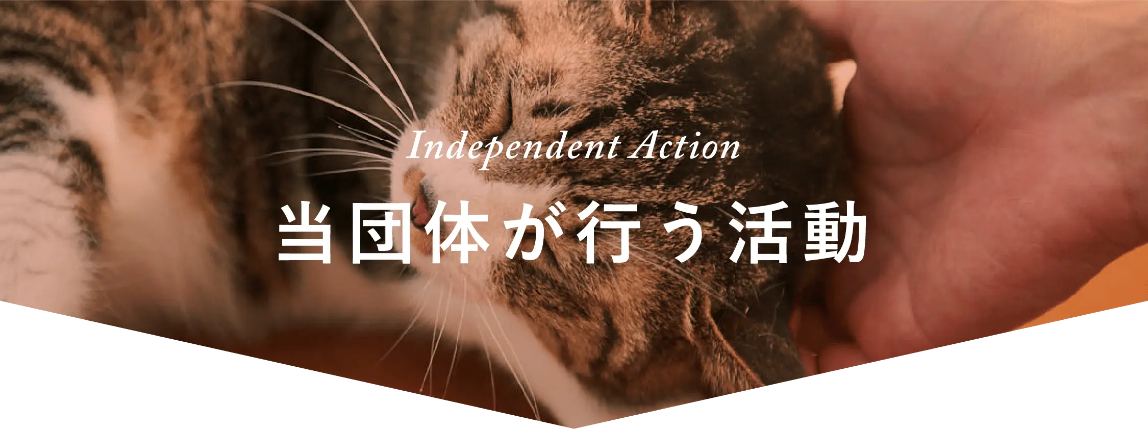 Independent Action。当団体が行う活動