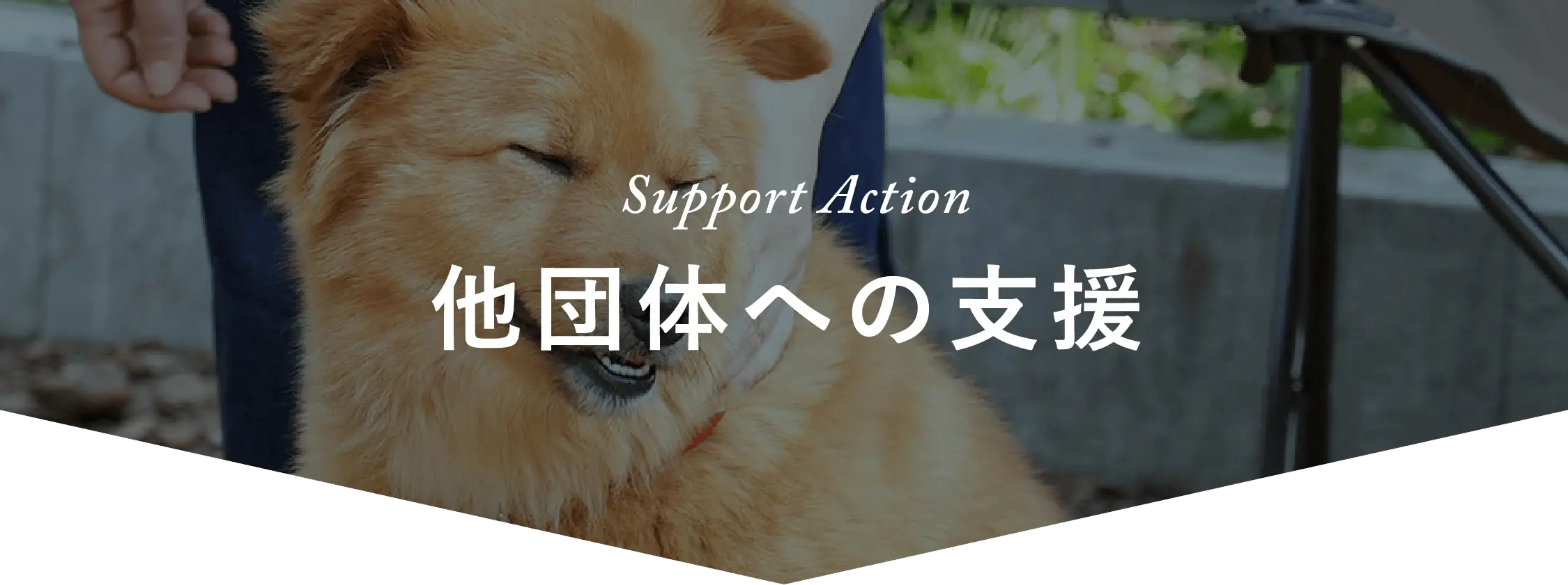 Supporter Action。他団体への支援