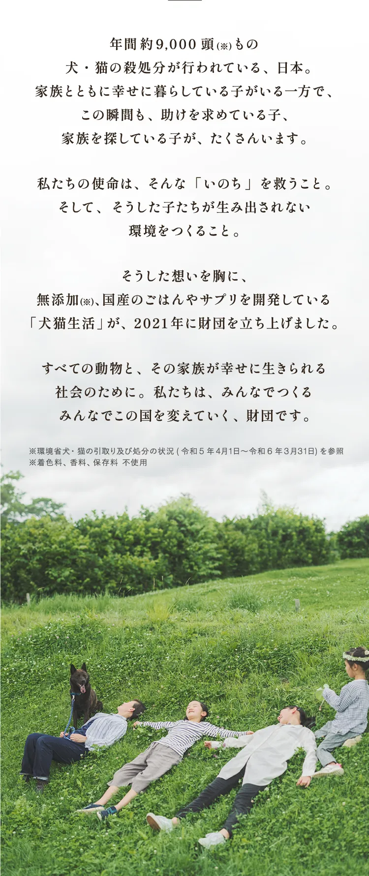 年間約9,000頭の犬猫が殺処分されている現状を伝え、命を救い、そうした命が生まれない社会を目指す財団の理念と活動の紹介。緑の草原で人と犬が穏やかに過ごす写真が添えられている