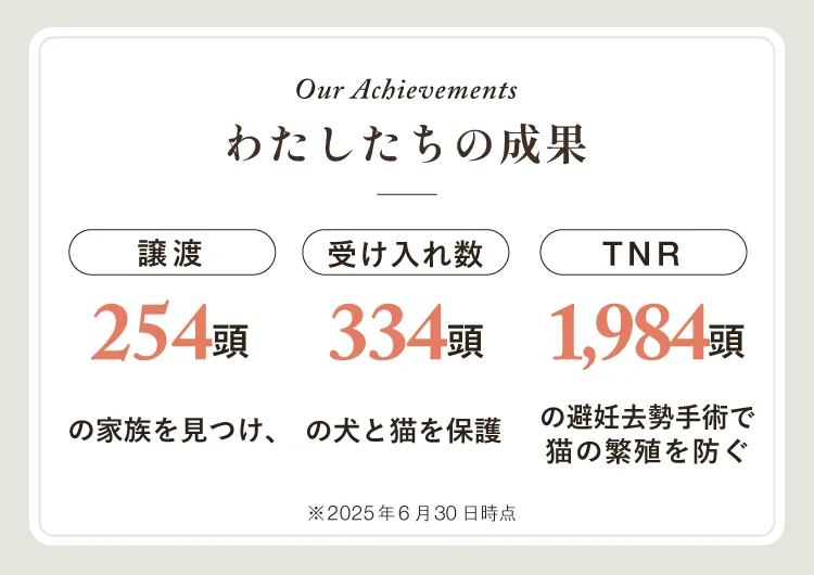 Our Achievements。わたしたちの成果。譲渡234頭。受け入れ数285頭。TNR1,729頭。2025年2月28日時点