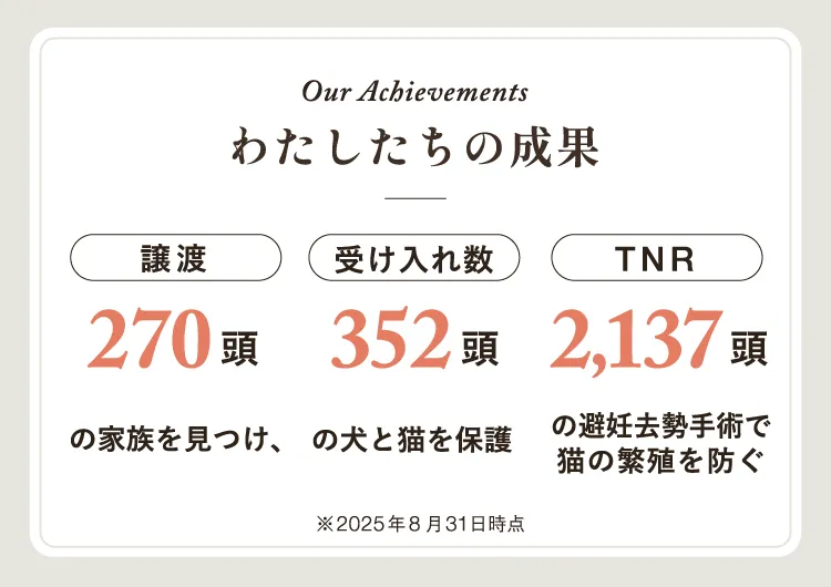 Our Achievements。わたしたちの成果。譲渡234頭。受け入れ数285頭。TNR1,729頭。2025年2月28日時点